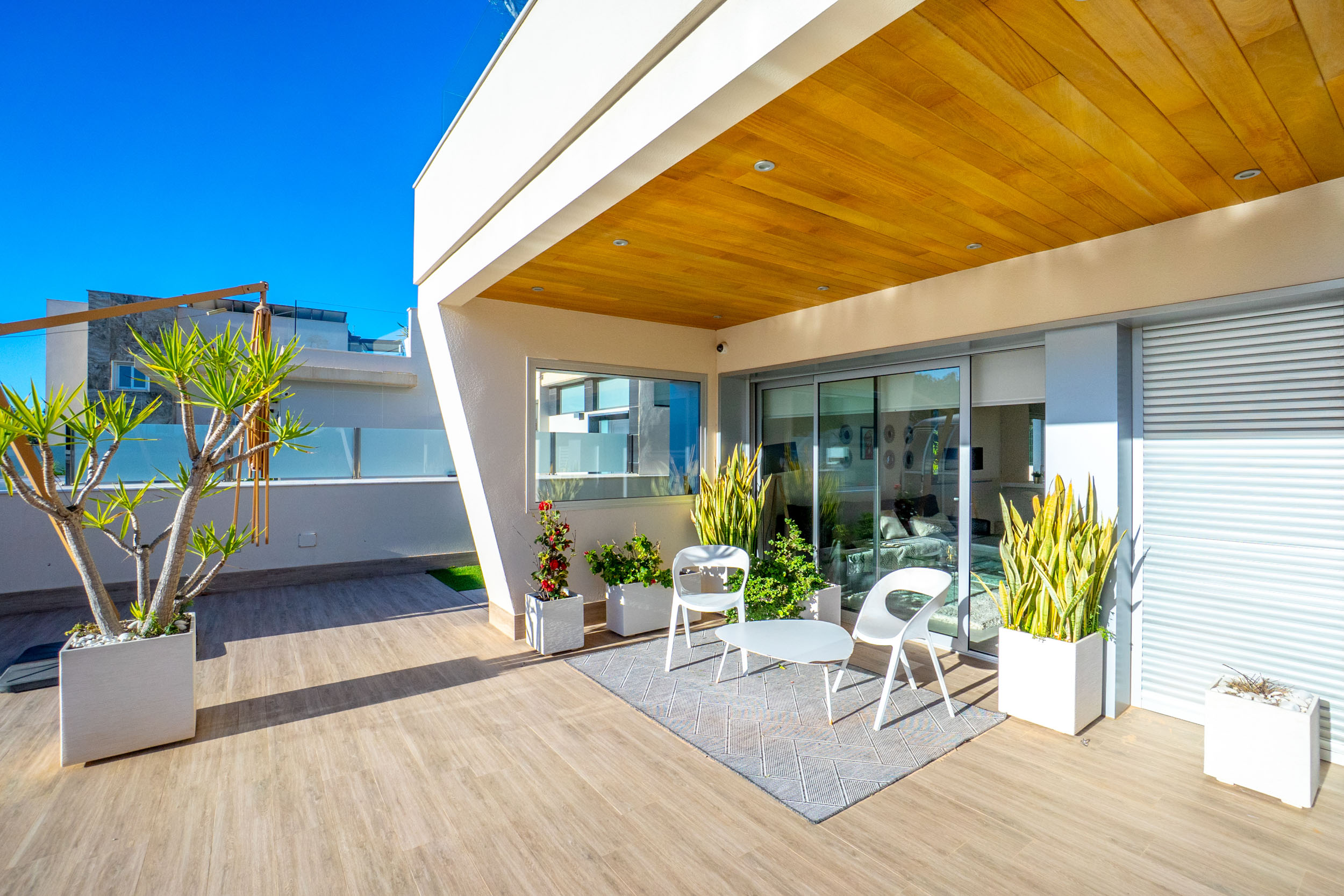 Backyard exterior real estate photo